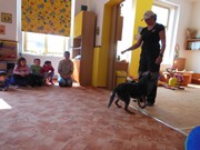 Bezpečný pes - kynologie